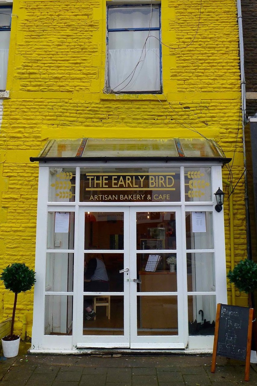 The Early Bird